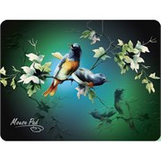 Коврик для мыши Dialog PM-H17 Птицы на клёне, ткань на пористой резине (285x215x3мм) 38158