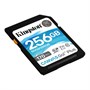 SD Memory Card SDXC 256GB Class10 UHS-I U3 Kingston Canvas Go Plus 170R C10 V30 170MB/s (SDG3/256GB) 35855 - фото 17101