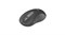 Мышь беспров. Logitech Signature M650 L wireless GRAPHITE USB (910-006388) 38600 - фото 21194