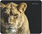 Коврик для мыши Defender Wild Animals, 220x180x2 мм, 8 видов, ткань+резина (50803) 37536 - фото 21229